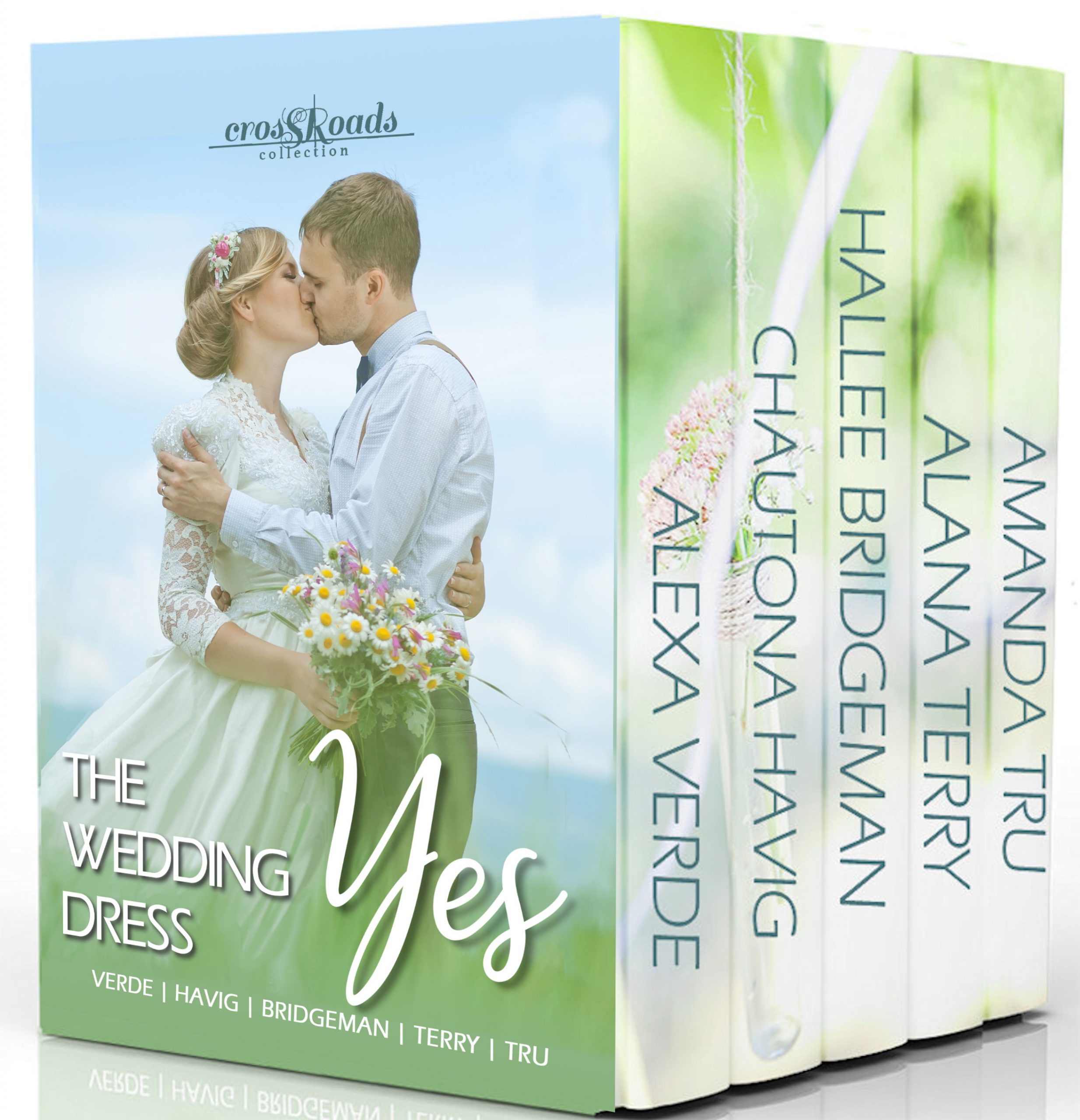 The Wedding Dress Yes book cover