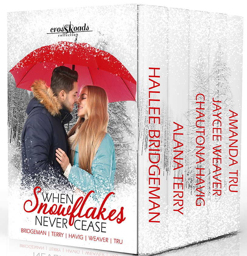 When Snowflakes Never Cease book cover