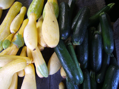 Summer Squash Chowder