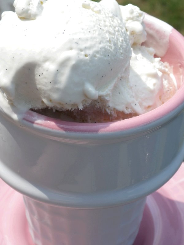Smooth and Creamy French Vanilla Bean Honey Ice Cream