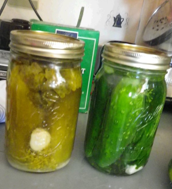 Cold Packed Cucumber Dill Pickles