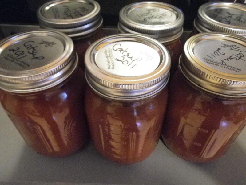 Homemade Catsup