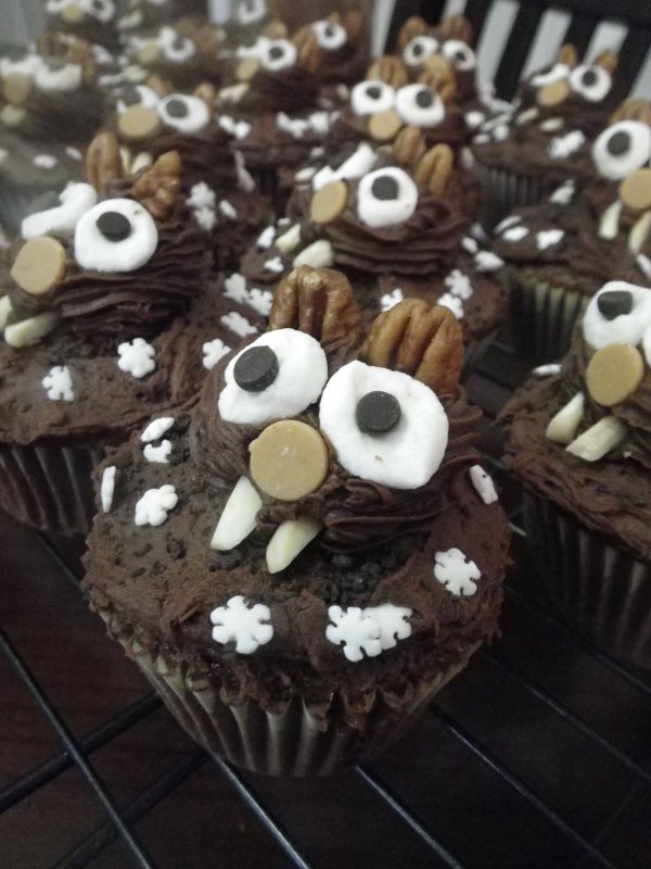 Chocolate Groundhog Day Cupcakes