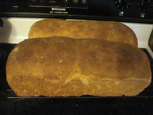 Whole Wheat Honey Oatmeal Bread