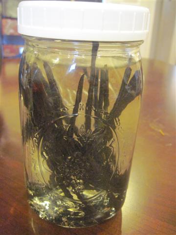 Homemade Vanilla Extract