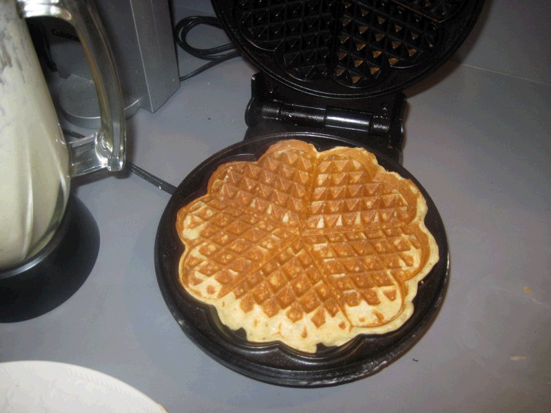 Sue Gregg's Oatmeal Blender Waffles or Pancakes